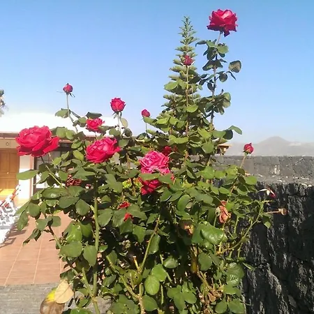 Celeste Playa Blanca (Lanzarote)