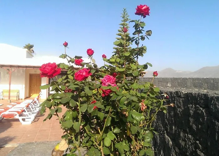 Celeste 플라야블랑카