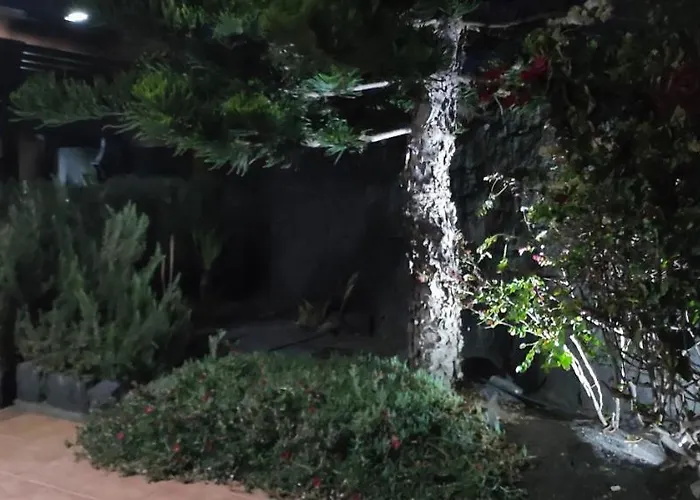 Celeste 플라야블랑카