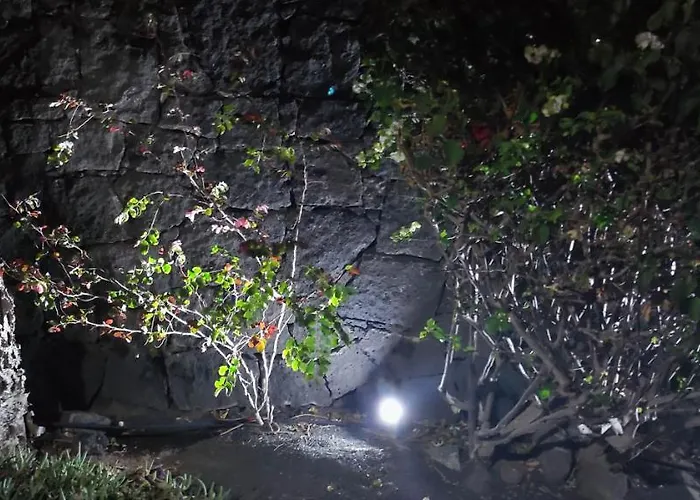 빌라 Celeste 플라야블랑카